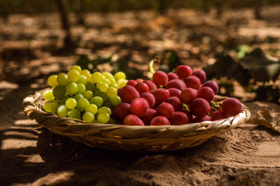 Uvas 1