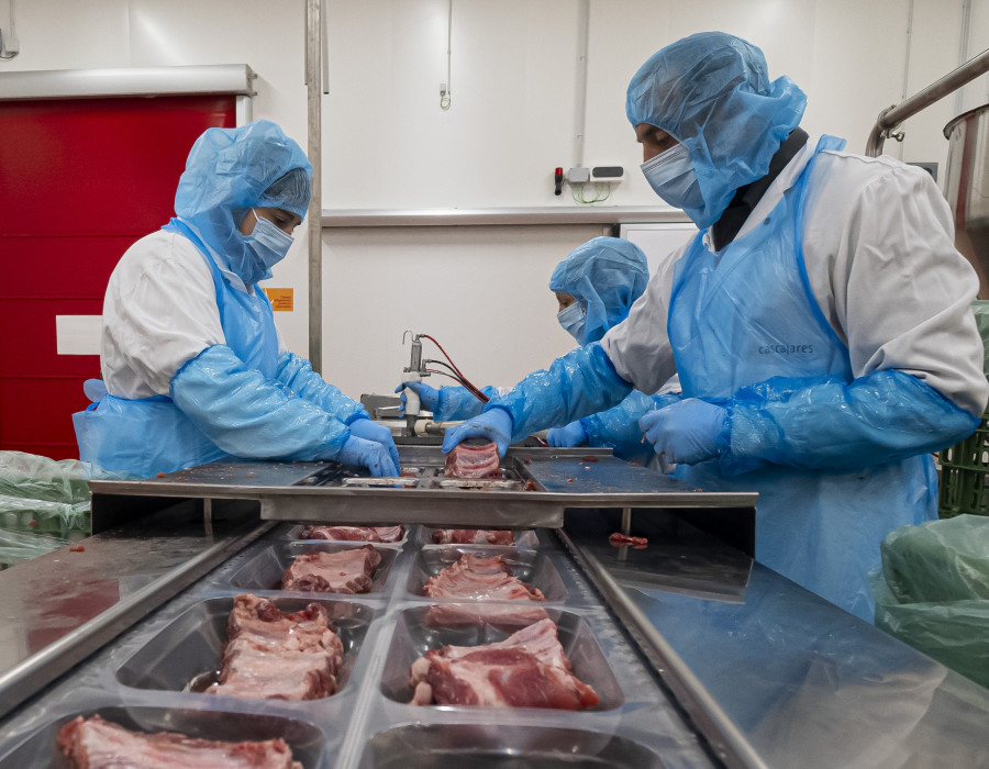 Trabajadores de Cascajares en la nueva fábrica de Dueñas