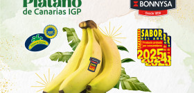 PORTADA PLATANO SABOR DEL ANŽO BONNYSA 210x160 copia