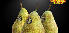Peras Sabor 2025