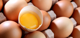 HUEVOS HORIZONTAL