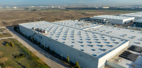 ALDI Pinto 2