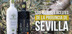 Mejor aceite de Sevilla 1