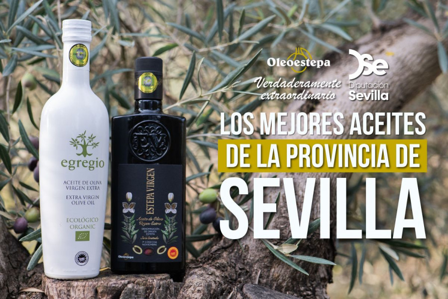 Mejor aceite de Sevilla 1