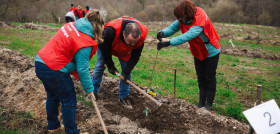 Alcampo Rucandio3