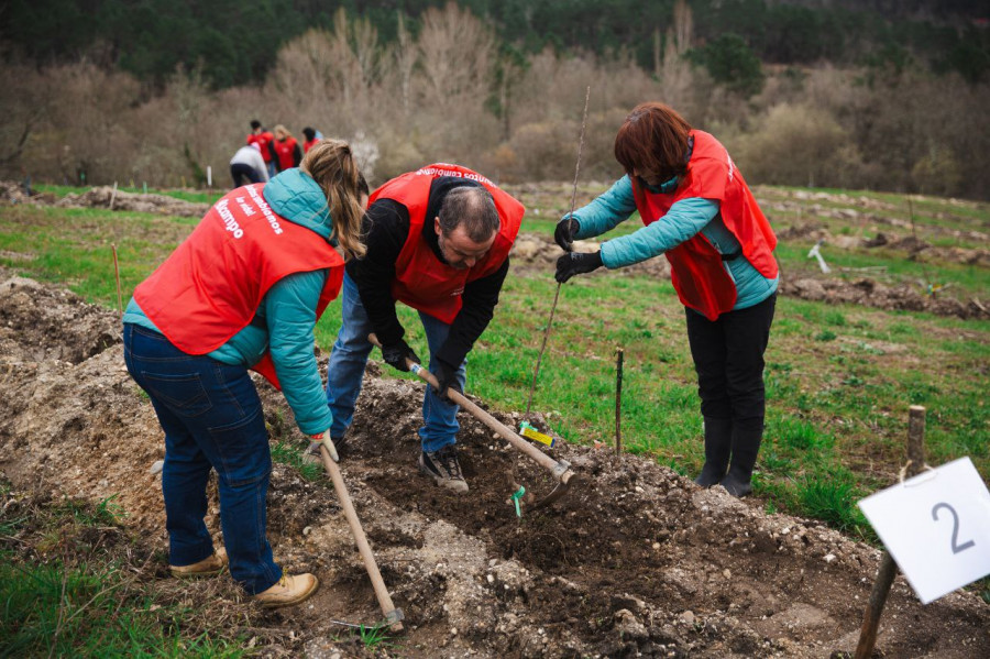Alcampo Rucandio3