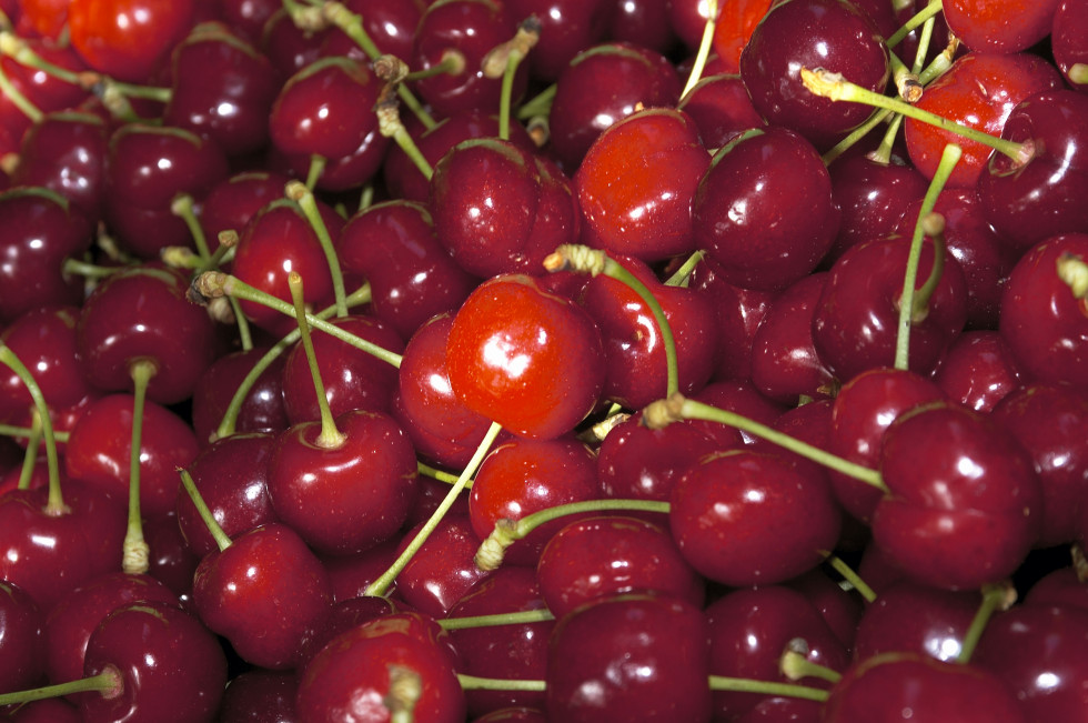 Cereza Jerte (2)