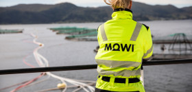 Mowi (1)