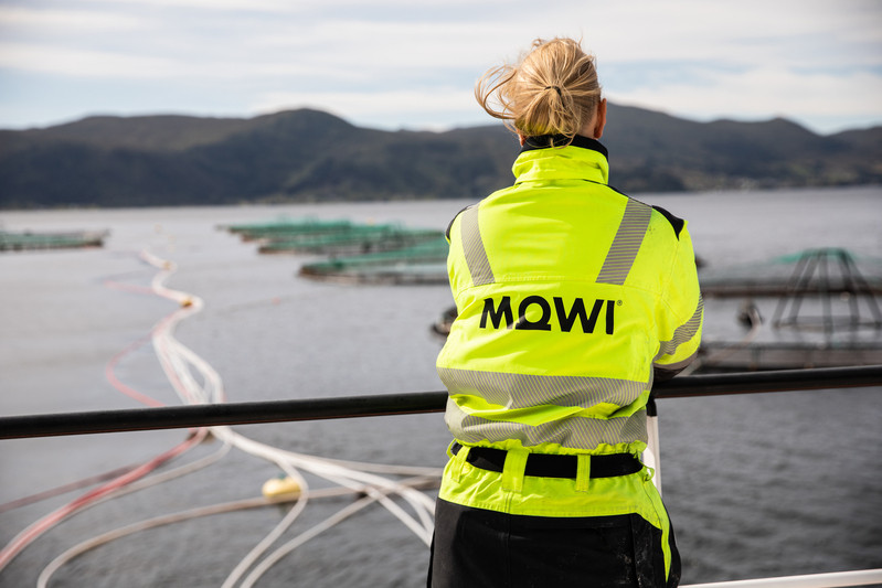 Mowi (1)