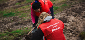 Alcampo Resolución de convocatoria de proyectos