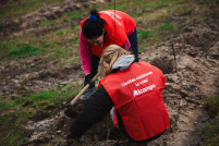 Alcampo Resolución de convocatoria de proyectos