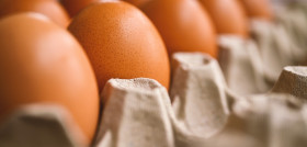 Egg 7345934 1280