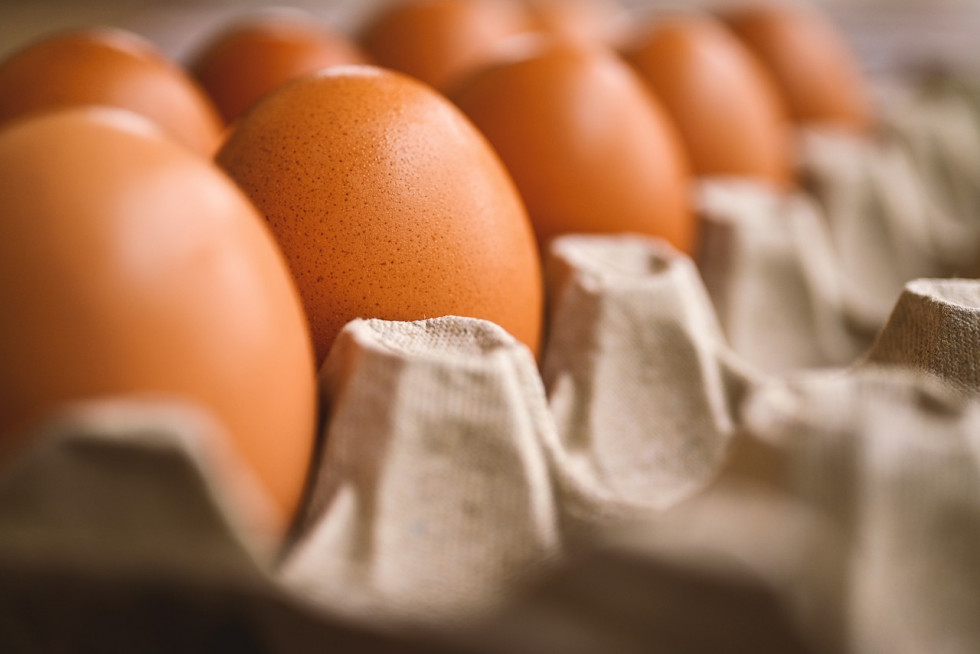 Egg 7345934 1280