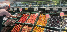 250723  NdP Fruta de hueso